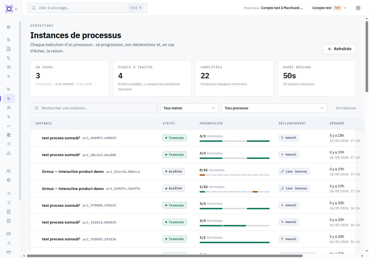 La liste des instances permet de comparer les statuts, la progression et les modes de déclenchement.